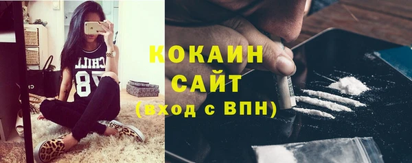 шишки Костерёво