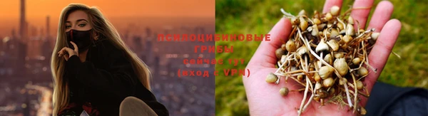 прущая мука Корсаков