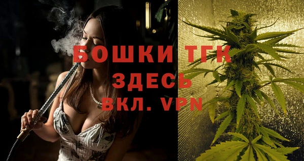 шишки Костерёво