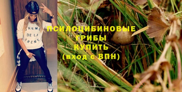 мяу мяу мука Новосибирск