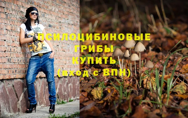 каннабис Коряжма