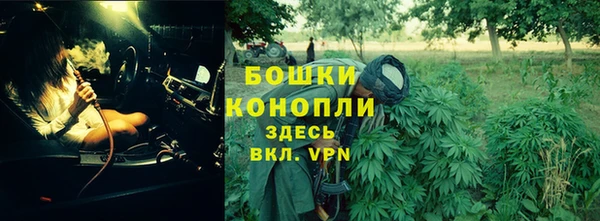 шишки Костерёво