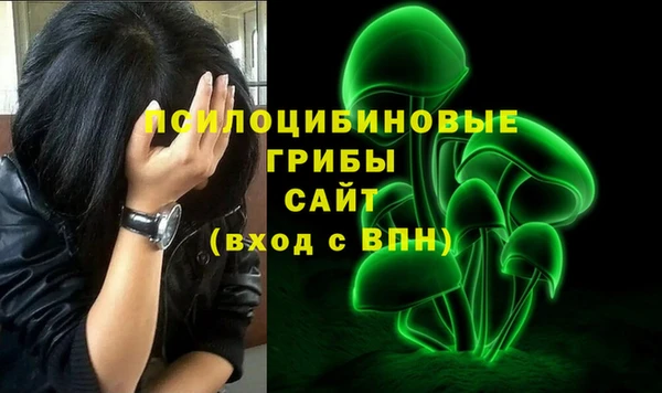 каннабис Коряжма
