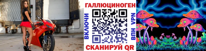 наркотики  Шатура  Галлюциногенные грибы прущие грибы 