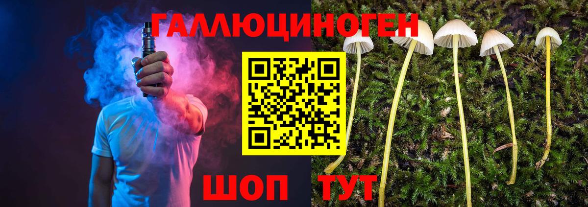 Псилоцибиновые грибы Psilocybine cubensis  Галлюциногенные грибы ЛСД  Вход с VPN  Шатура 