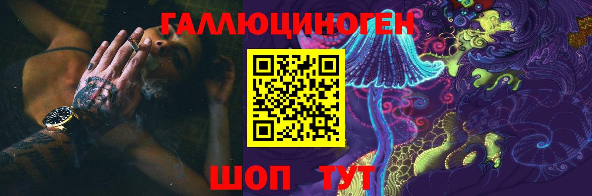 Псилоцибиновые грибы Cubensis  Шатура  Галлюциногенные грибы MAGIC MUSHROOMS 