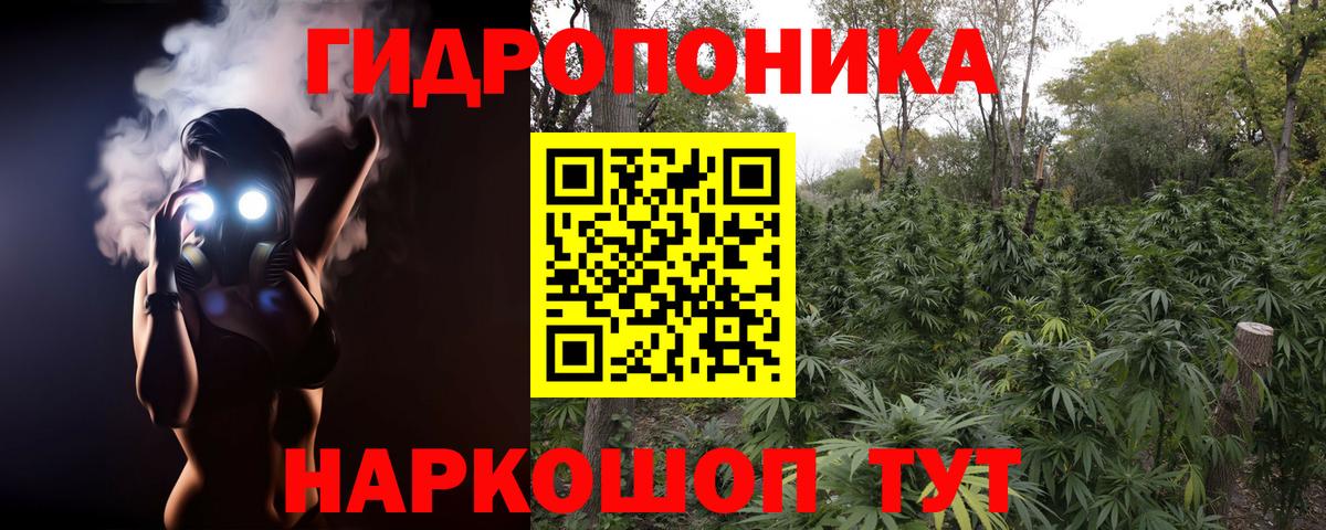 Каннабис конопля  Вход с VPN  Бошки марихуана White Widow  Шатура 