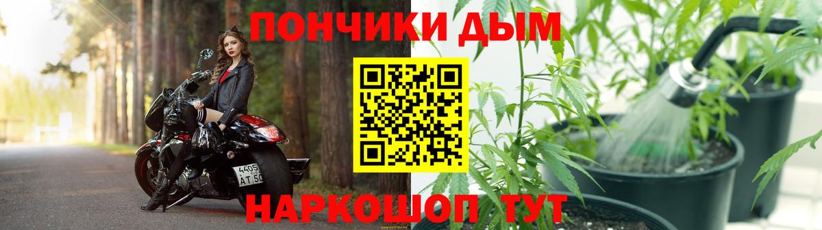 Канабис семена  Бошки марихуана планчик  Шатура  Каннабис планчик 