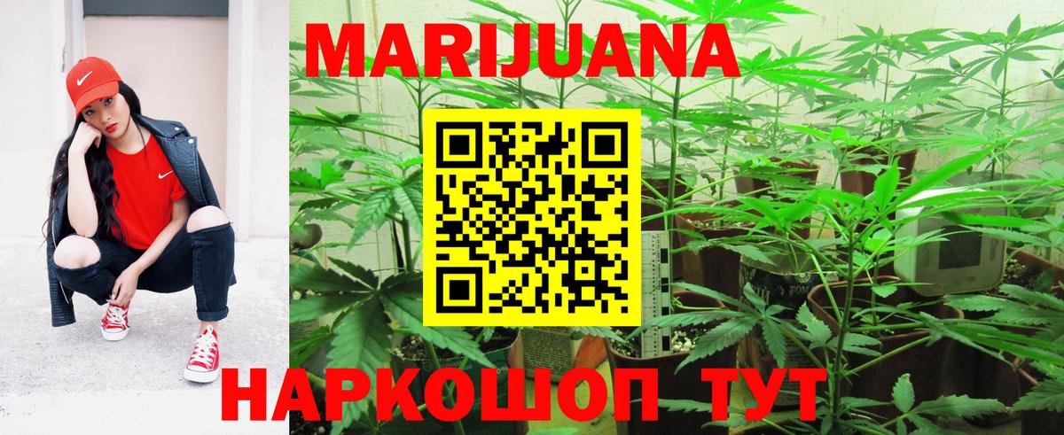 Бошки марихуана сатива Шатура